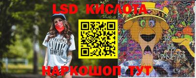 ешки Бийск