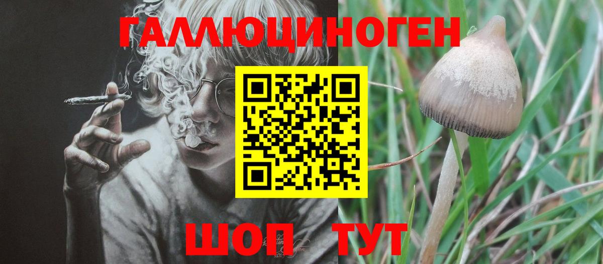 хочу   Галлюциногенные грибы мицелий  Галлюциногенные грибы MAGIC MUSHROOMS  Вход с VPN  Ишим 